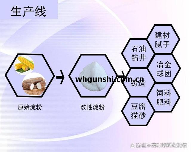 木薯(shu)變性(xing)澱(dian)粉生(sheng)應(ying)用.ppt