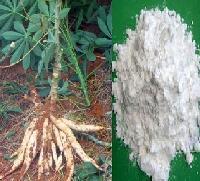 磷酸(suan)酯雙澱粉(fen)在江蘇無(wu)錫(xi)金陵塔(ta)公司(si)的應(ying)用與發(fa)展(zhan)