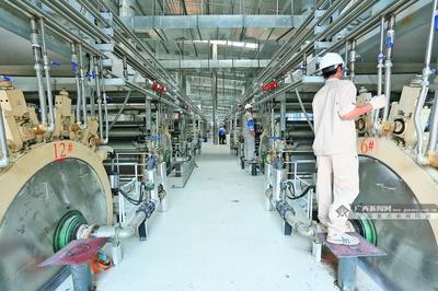 廣(guang)西(xi)農(nong)業爭(zheng)相紮(zha)根東(dong)盟(meng)“沃(wo)土(tu)” 木薯變(bian)性(xing)澱粉(fen)產業迎(ying)發(fa)展新(xin)機